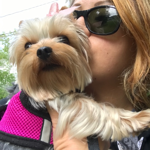 Meet your Posher, Gia - Picture 8 of 8